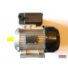 Motore Elettrico Monofase 2,5 Hp Albero Cilindrico 2800 Giri