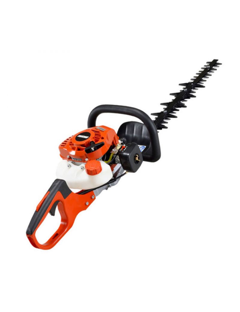 Tagliasiepi Echo
