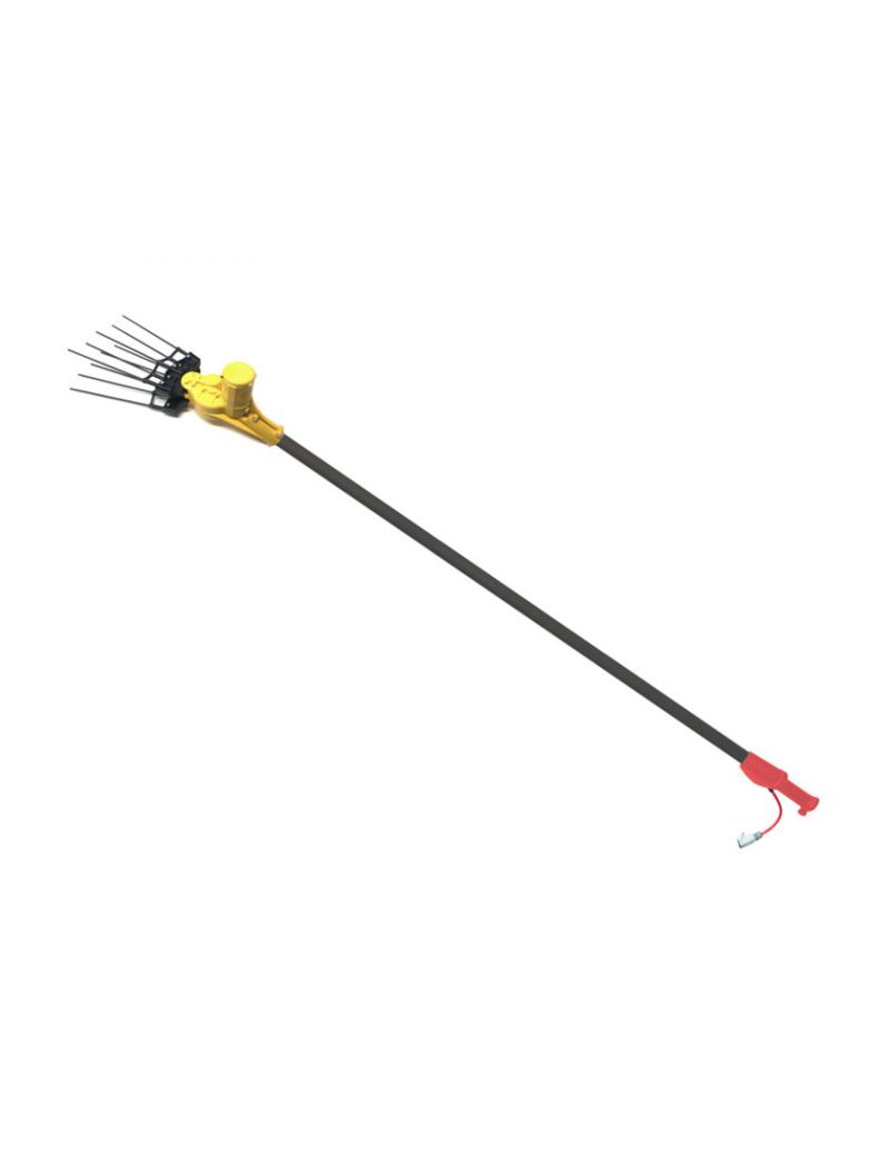 Abbacchiatore Elettrico Fulmine 12 Volt Carbonio