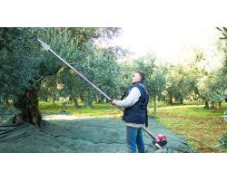 Gancio Scuotitore per Decespugliatori Raccolta Olive Frutti