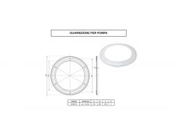 Guarnizione Pompa Diraspatrice Ricambio