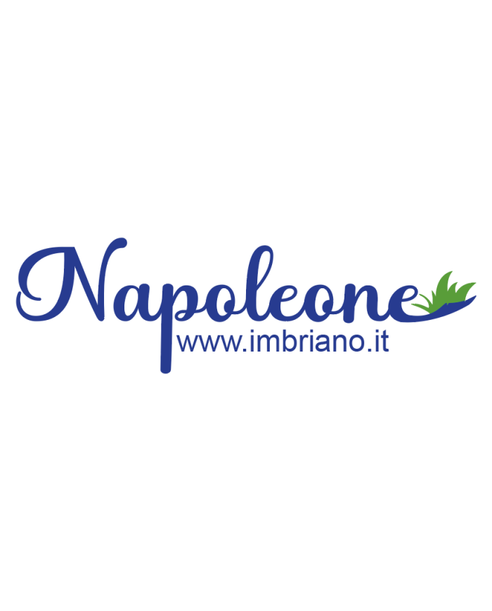 Trinciaerba Falciatutto Napoleone Benzina 224 cc Trinciatrice