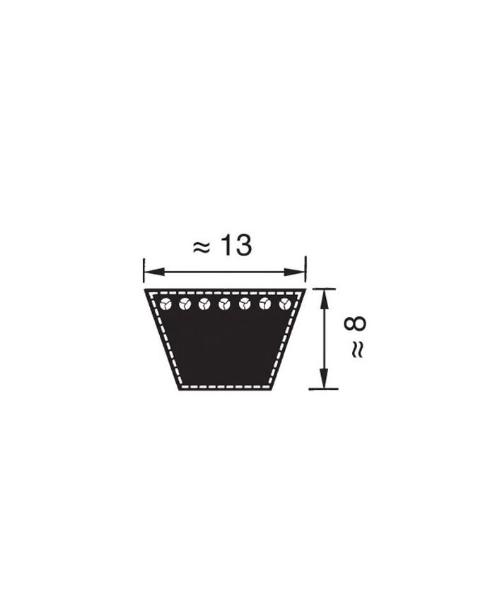 Cinghia trapezoidale liscia classica 13x8x1956 mm