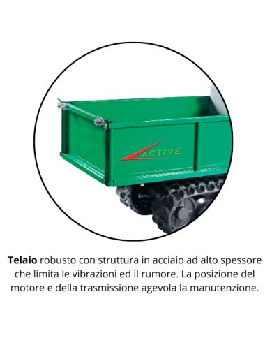 Motocarriola Active Power Track 1460
