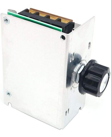 Regolatore Elettronico Di Tensione SCR Ad Alta Potenza AC 220V 4000W