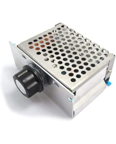 Regolatore Elettronico Di Tensione SCR Ad Alta Potenza AC 220V 4000W