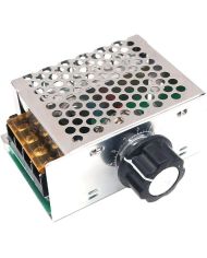 Regolatore Elettronico Di Tensione SCR Ad Alta Potenza AC 220V 4000W