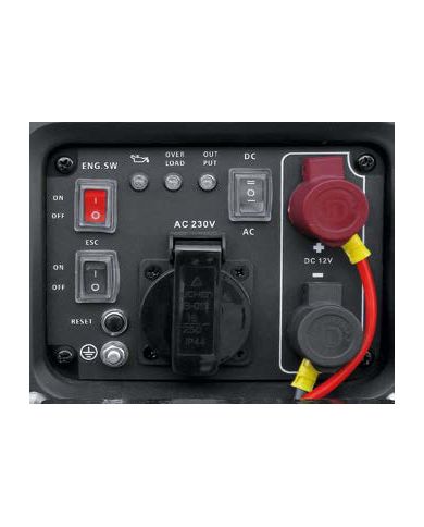 Rato R1250HiS-4 Generatore Inverter 12 VOLT Per Abbacchiatori e Scuotiolive