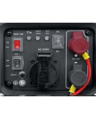Rato R1250HiS-4 Generatore Inverter 12 VOLT Per Abbacchiatori e Scuotiolive