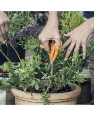 Forbici Multiuso Con Lama Dentata 18 cm Fiskars