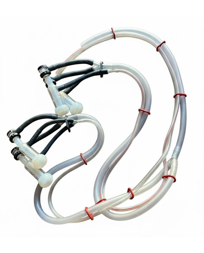 Doppio Gruppo Mungitura Capre Pecore Ovini Tettarelle