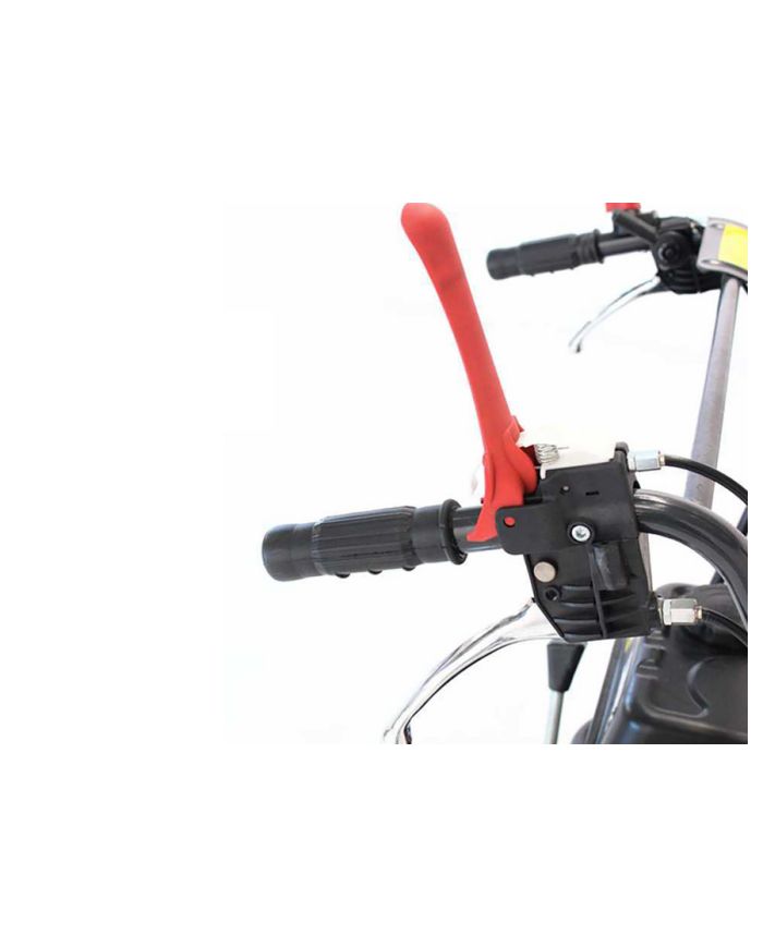 Motocarriola Dumper TAG300T