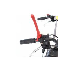 Motocarriola Dumper TAG300T