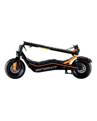 Ztl Velocifero Monopattino Elettrico 500W