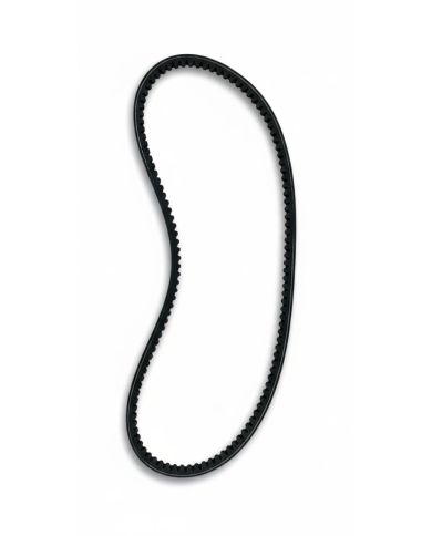 Ricambio Cinghia SPB 1320 Maschio Gaspardo