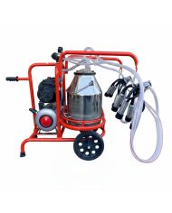 Gruppo Mungitrice Motore + Pompa Vuoto Monofase