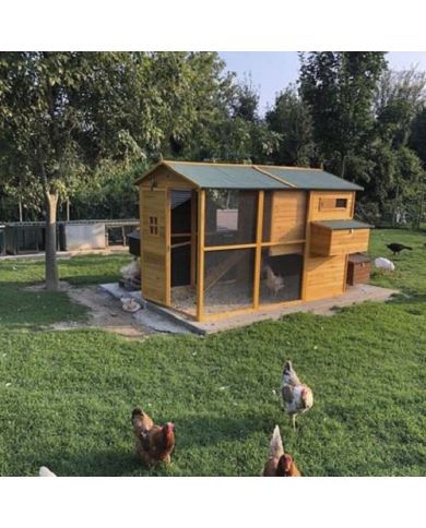 Pollaio In Legno XXXXL