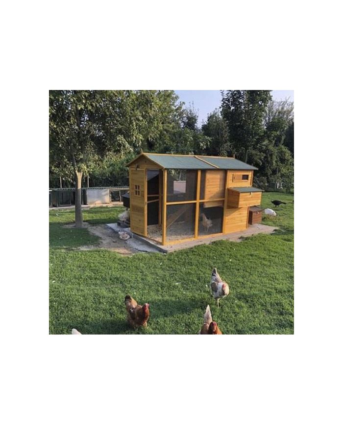 Pollaio In Legno XXXXL