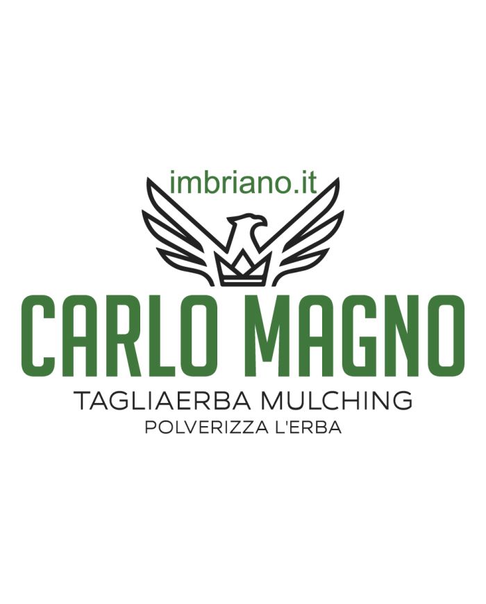 Trinciaerba Falciatutto Carlo Magno Benzina 196 cc Trinciatrice