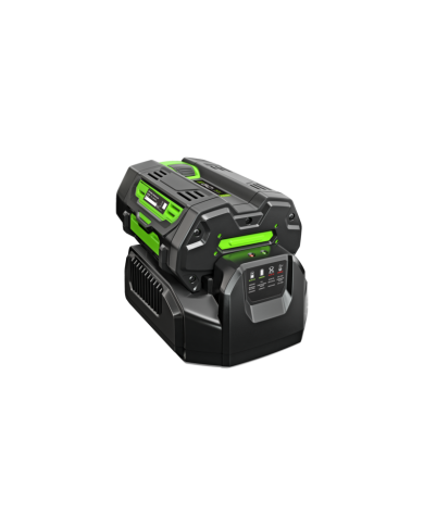 Promo Kit Gruppo Motore + Accessorio Coltivatore + Caricabatteria Standard + Batteria 2,5 Ah EGO POWER+