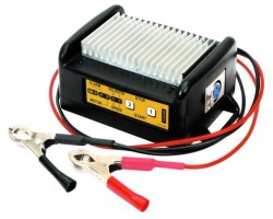 Abbacchiatore Scuotitore a Batteria - GIULIVO Classic