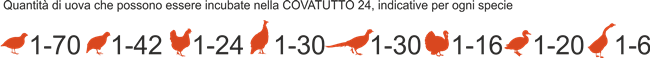 incubatrice covatutto 24 imbriano macchine agricole