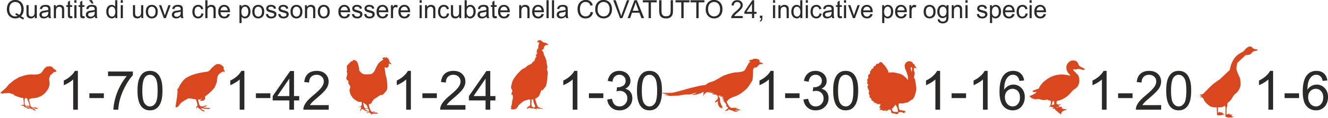 incubatrice covatutto 24 imbriano macchine agricole