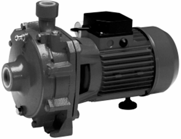 Motore per Acqua Pompa 110.44 Elettropompa 1,5 Hp