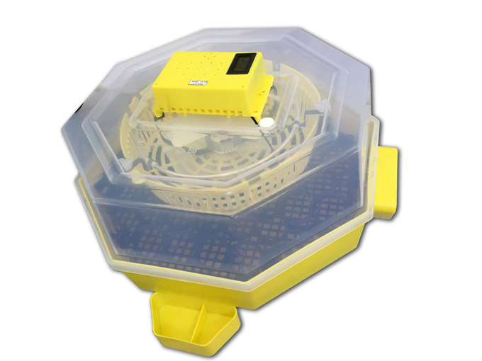 Incubatrice Elettrica C5-TDH A Con Rotazione Automatica (1)