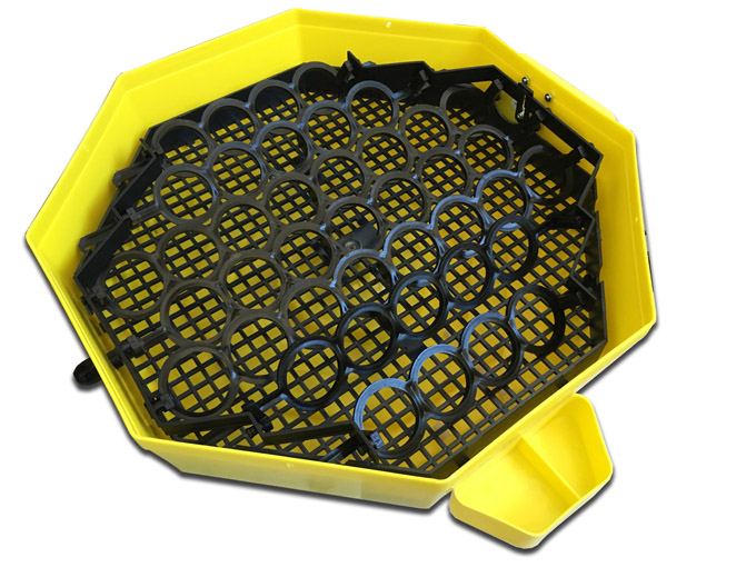 Incubatrice Elettrica C5-TDH A Con Rotazione Automatica (2)
